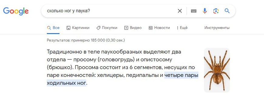 Поле ответа поисковой выдачи